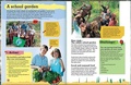 Cover: Green Team, Set - Crabtree Publishing Company