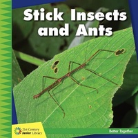 Enlarge image Cover: Stick Insects and Ants - Cherry Lake Publishing