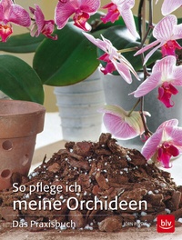 Abbildung von: So pflege ich meine Orchideen - BLV