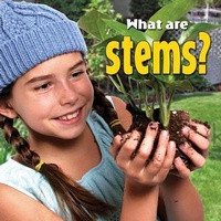 Enlarge image Cover: What Are Stems? - Crabtree Publishing Company