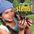 Cover: What are stems? - Crabtree Publishing Co,US