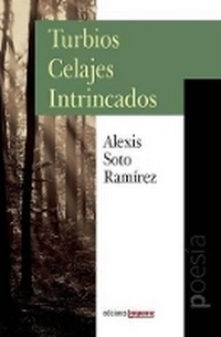 Abbildung von: Turbios Celajes Intrincados - Ediciones Lenguaraz