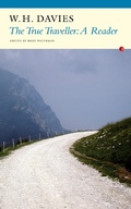 Cover: The True Traveller - Fyfield Books