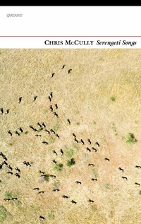 Abbildung von: Serengeti Songs - Carcanet Poetry