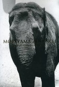 Cover: Daido Moriyama: Tribute No. 1 - Seiun-Sha
