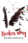 Cover: Broken Wing - Safe Harbor