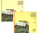 Cover: Dubliner - Sinus-Verlag