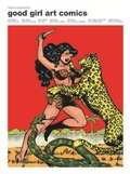 Cover: Perlen der Comicgeschichte Band 2 - Bildschriftenverlag Hannover