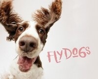 Enlarge image Cover: Flydogs - Voyageur Press