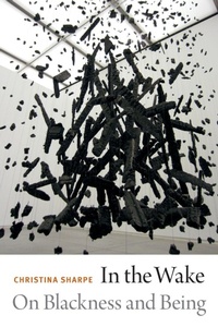 Enlarge image Cover: In the Wake - Duke University Press