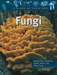Enlarge image Cover: Fungi - Crabtree Publishing Co,US