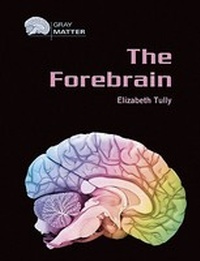 Enlarge image Cover: The Forebrain - Chelsea House Publishers