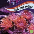 Cover: Faceless, Spineless and Brainless Ocean Animals Pack A of 4 - Raintree