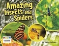 Cover: Amazing Insects and Spiders - Raintree