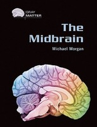 Enlarge image Cover: The Midbrain - Chelsea House Publishers