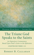 Cover: The Triune God Speaks to the Saints - Wipf & Stock Publishers