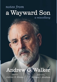 Enlarge image Cover: Notes from a Wayward Son - Cascade Books