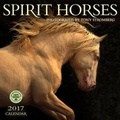 Cover: Spirit Horses 2017 Wall Calendar - Amber Lotus