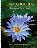 Cover: Pema Chodron 2017 Engagement Calendar - Amber Lotus