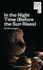 Cover: In the Night Time (Before the Sun Rises) - Oberon Books Ltd