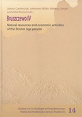 Cover: Bruszczewo IV - Habelt, R