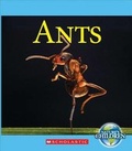 Cover: Ants - C. Press/F. Watts Trade