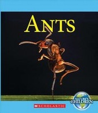 Enlarge image Cover: Ants - C. Press/F. Watts Trade