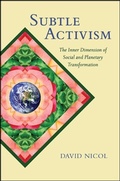 Cover: Subtle Activism - De Gruyter