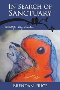 Enlarge image Cover: In Search of Sanctuary - Strategic Book Publishing