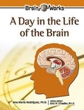 Cover: A Day in the Life of the Brain - Chelsea House Publishers