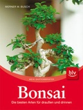 Cover: Bonsai - BLV