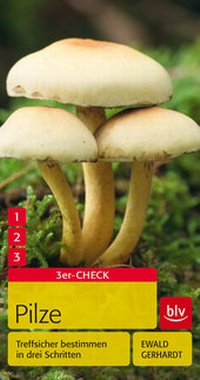 Enlarge image Cover: Pilze - BLV