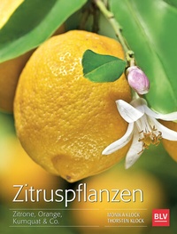 Abbildung von: Zitruspflanzen - BLV