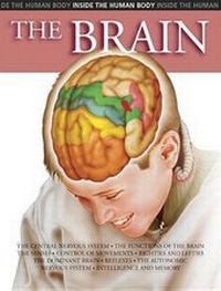 Enlarge image Cover: The Brain - Chelsea House Publishers