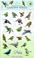 Cover: Garden Birds - Fine Feather Press Ltd