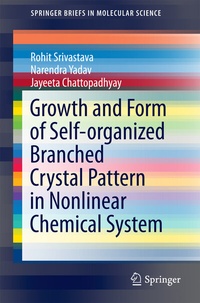 Abbildung von: Growth and Form of Self-organized Branched Crystal Pattern in Nonlinear Chemical System - Springer