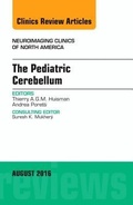 Cover: The Pediatric Cerebellum, An Issue of Neuroimaging Clinics of North America: Volume 26-3 - Elsevier