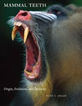 Cover: Mammal Teeth - Johns Hopkins University Press