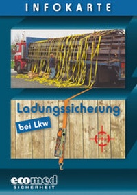 Abbildung von: Infokarte Ladungssicherung bei Lkw - ecomed Storck