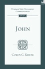 Cover: TNTC John - IVP
