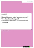 Cover: Naturphaenomen oder Naturkatastrophe? Ursachen, Entstehung und Schutzmassnahmen bei Sturmfluten und Tsunamis - GRIN Verlag
