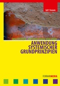 Cover: Anwendung systemischer Grundprinzipien - Ferrari Media