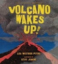 Cover: Volcano Wakes Up! - Turtleback Books