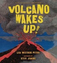 Enlarge image Cover: Volcano Wakes Up! - Turtleback Books