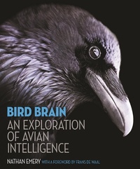 Enlarge image Cover: Bird Brain - Princeton University Press