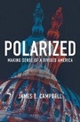 Cover: Polarized - Princeton University Press
