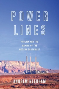 Enlarge image Cover: Power Lines - Princeton University Press