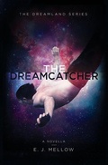 Cover: The Dreamcatcher - Four Eyed Owl