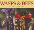 Cover: Wasps & Bees - Dominie Press