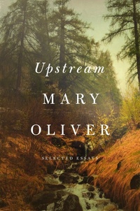 Enlarge image Cover: Upstream - Penguin Putnam Inc